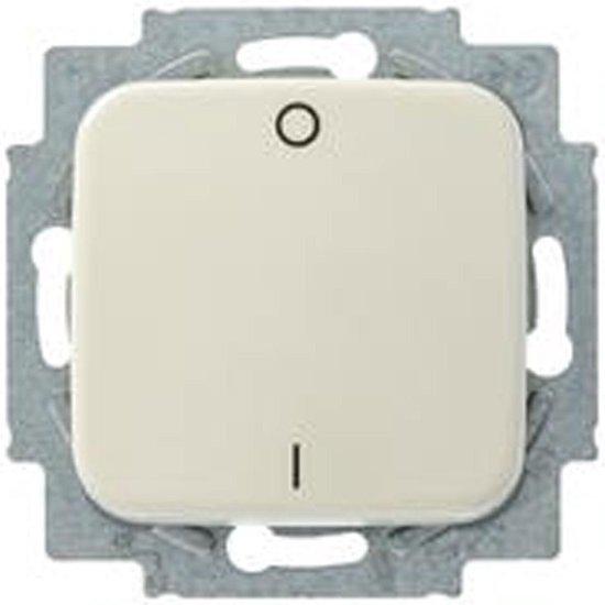 BUSCH-JAEGAR 2P INBOUW SCHAKELAAR image