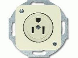 BUSCH-JAEGAR AMERIKAANS 15A 125V CREME image